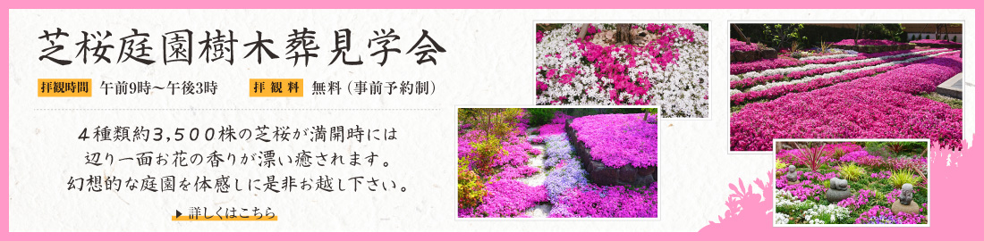芝桜庭園一般公開のお知らせ