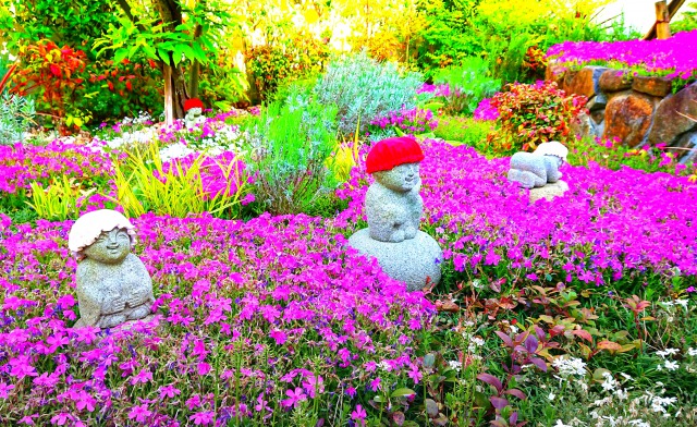 奈良県大和郡山市の寿量山速成寺 新着情報